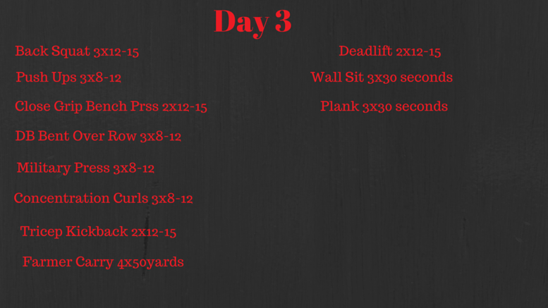 3 Day Workout (2)